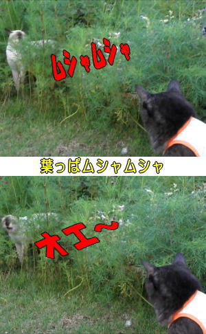 吐く