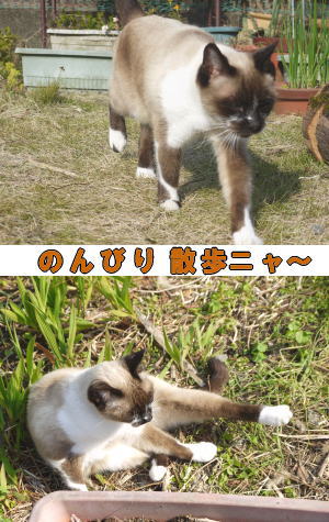 のんびり