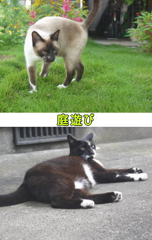 外遊び