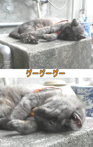 グーグー