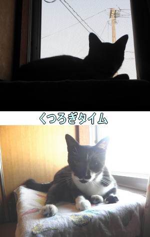 朝寝