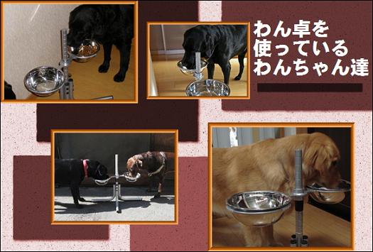 わん卓とわんちゃん