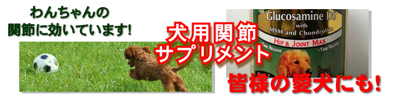 犬用グルコサミン・コンドロイチン・MSM