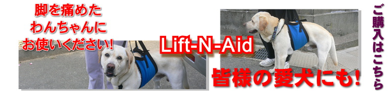 歩行補助用ハーネス