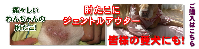 ジェントルアウター