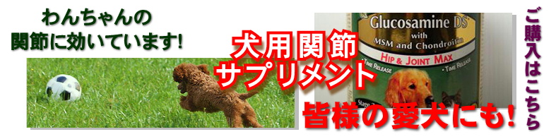 犬用グルコサミン・コンドロイチン・MSM