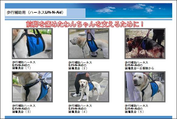 歩行補助用ハーネス