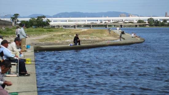 武庫川、ハゼ釣り
