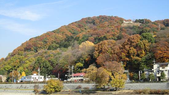 五月山の紅葉