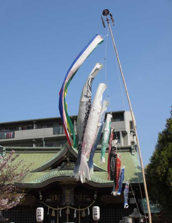 塚口神社 鯉のぼり