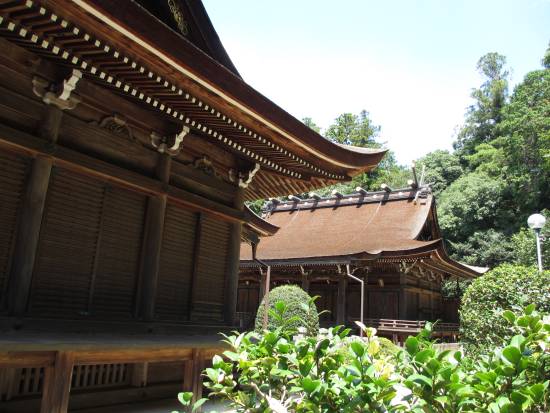 拝殿の奥に本殿