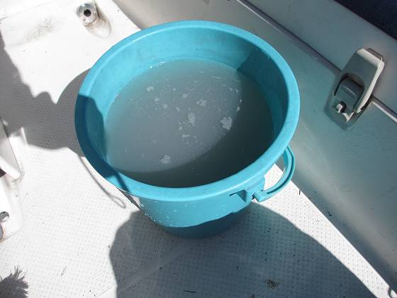 2013-09-27_1015_トイレの床_IMG_5042_s.JPG