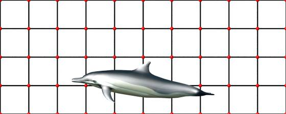 dolphin_POV_scene_w560h224q30.jpg