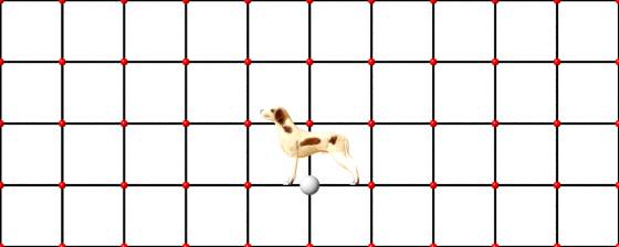 dog_braco_POV_scene_w560h224q30.jpg
