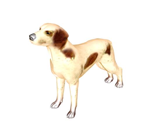 dog-braco_2014_07_14_23_10_20_w560h420q30.jpg