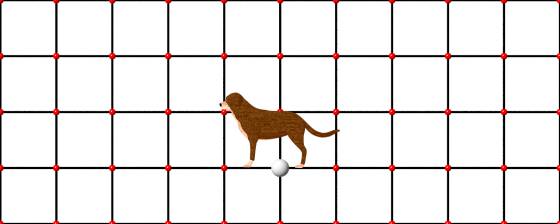 dog_model_POV_scene_w560h224q30.jpg