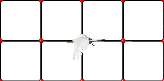 Sea_Gull_down_POV_scene_ts.jpg