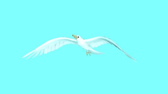 Sea_Gull_down_2014_07_31_20_47_32_ts.jpg