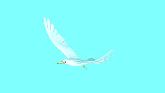 Sea_Gull_up_2014_07_31_20_45_15_ts.jpg