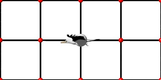 Sea_Gull_POV_scene_ts.jpg