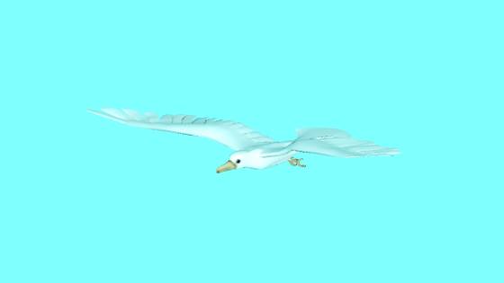 Sea_Gull_2014_07_31_20_07_39_ts.jpg