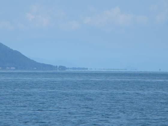 2015-08-28_1103_空中に浮かんで見える安曇川の並木_IMG_5236_ts.JPG