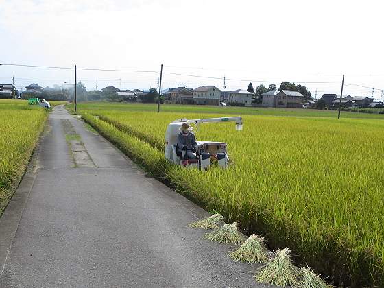 2015-08-28_0920_稲刈りコンバイン_IMG_5222_ts.JPG