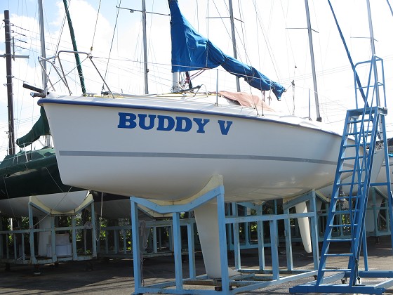 2015-09-11_1529_BUDDY全景_IMG_5436_s.JPG