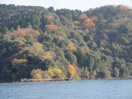 2015-12-12_1416_伊崎の紅葉_IMG_0095_s.JPG
