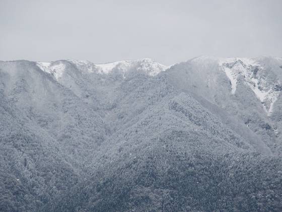 2015-152-18_1038_雪で白くなった比良の稜線のズーム_IMG_0191_s.JPG