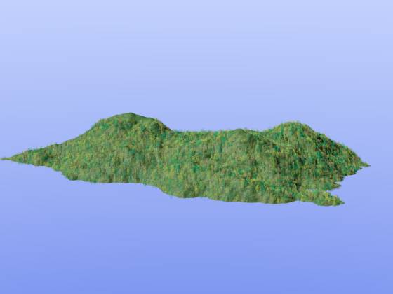 Mount_Forest_tg1_ブッシュ_w560h420q30.jpg
