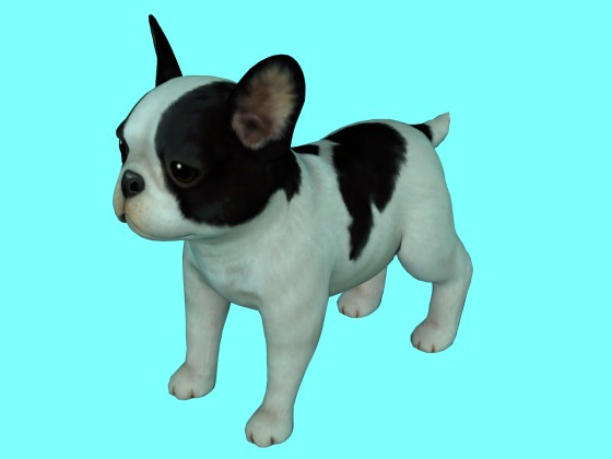 Bull Dog