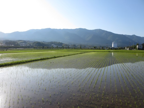 2018-06-02_1652_水田に映る比良の山並み_IMG_1066_s.JPG