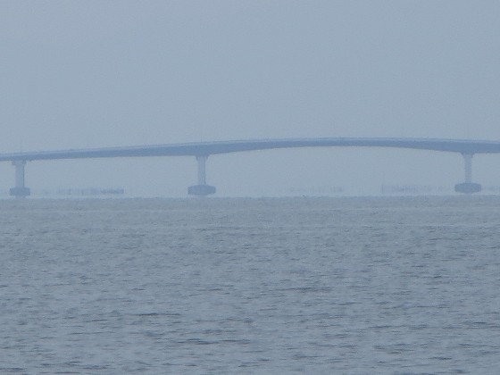 2018-06-22_1121_琵琶湖大橋の橋脚基部が水面上に浮かんで見える_IMG_1236_ts.JPG