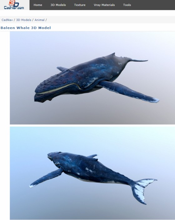 CadNav_Baleen_Whale_ts.jpg