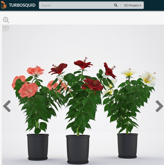 TurboSquid_Hibiscus_by_orii_ts.jpg