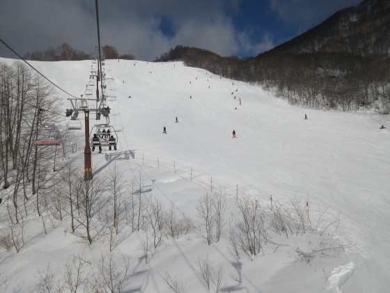 2020-02-02_0945_ハンの木第3クワッドリフトから見た中間部_IMG_2246_s.JPG
