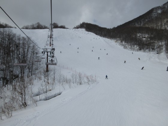 2020-02-02_1347_ハンの木第3クワッドリフトから見た中間部_IMG_2265_s.JPG