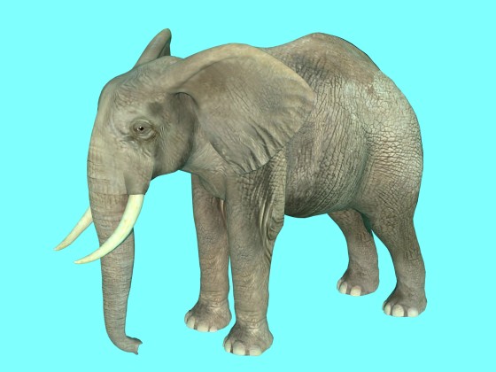 Elephant free Elegance Safari Free low-poly 3D model