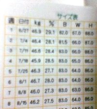 サイズ表