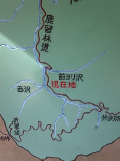 DCF00235.jpg