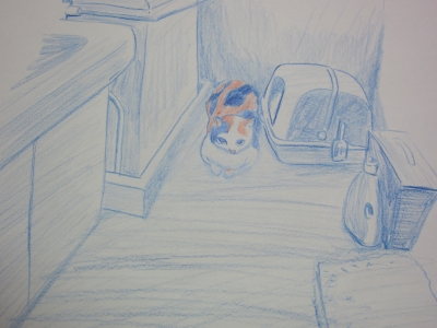 20120515 041.JPG