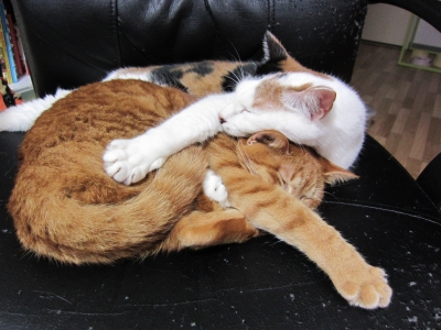 20120507 057.JPG