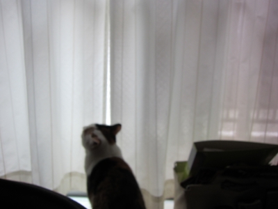 20120618 030.JPG
