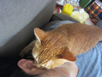 20120723 010.JPG