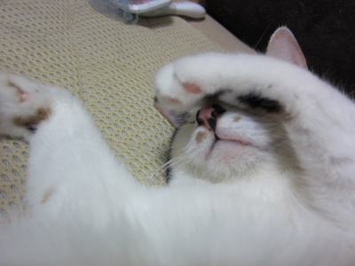20120810 016.JPG