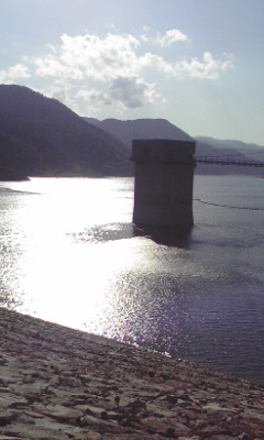 090823_1600~01.jpg