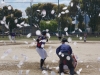 20190415桜吹雪