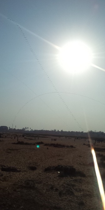 M. Endo flown sequence Kite