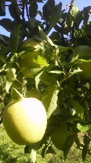 2013102920400000.jpg